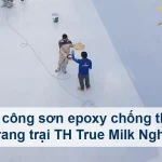 du-an-nha-may-th-true-milk-0