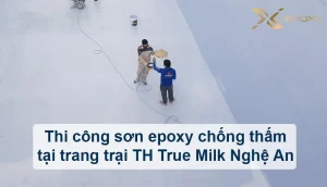 du-an-nha-may-th-true-milk-0