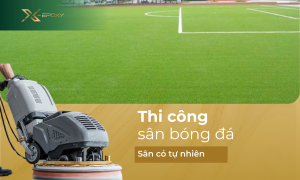 thi công sân bóng đá cỏ tự nhiên