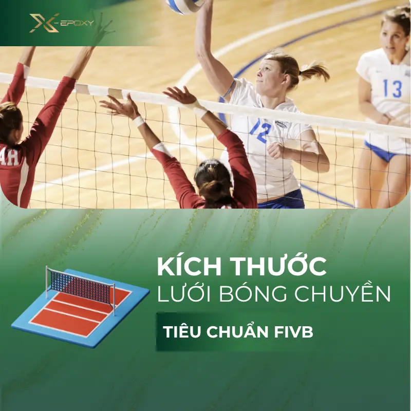Tìm Hiểu Kích thước Lưới Bóng Chuyền Nam Nữ & Tiêu Chuẩn FIVB