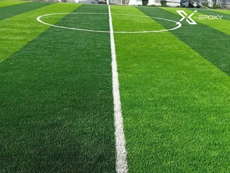 Các đường kẻ vạch trên sân