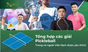 Tổng hợp các giải Pickleball