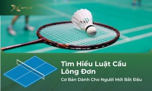 luật cầu lông đơn