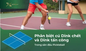 phan-biet-cu-dink-chet-va-dink-tan-cong