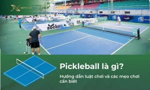 pickleball-la-gi