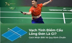 vạch tính điểm cầu lông đơn