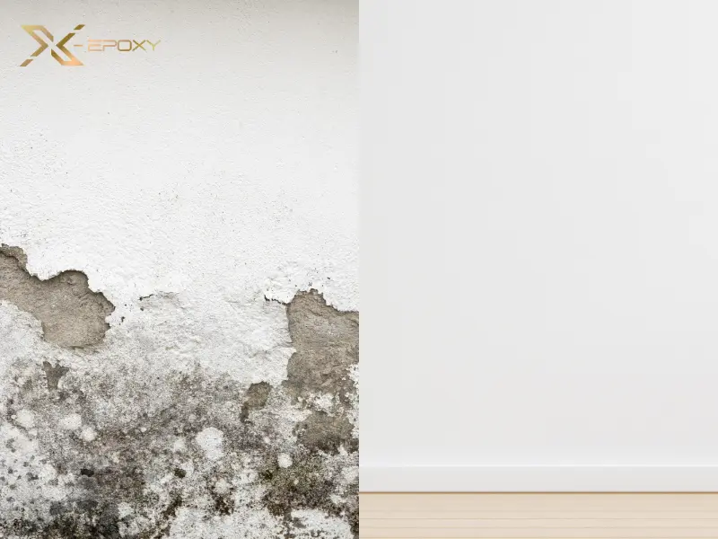 Bên trái là bức tường bị kiềm hóa, loang màu và bong tróc; bên phải là tường được bảo vệ hoàn hảo nhờ lớp sơn lót kháng kiềm chất lượng.