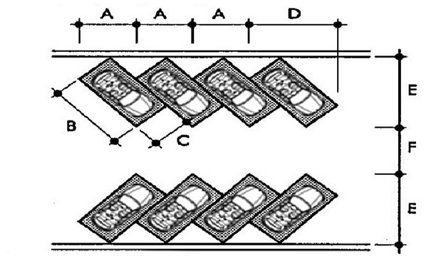 Mô phỏng bãi đỗ xe chéo góc 45 độ